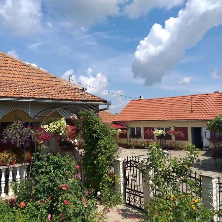Affittacamere La Mosu-n Retezat Nucsoara  Esterno foto