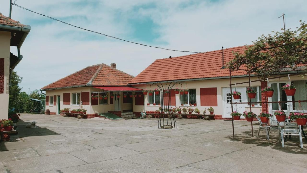 Affittacamere La Mosu-n Retezat Nucsoara  Esterno foto