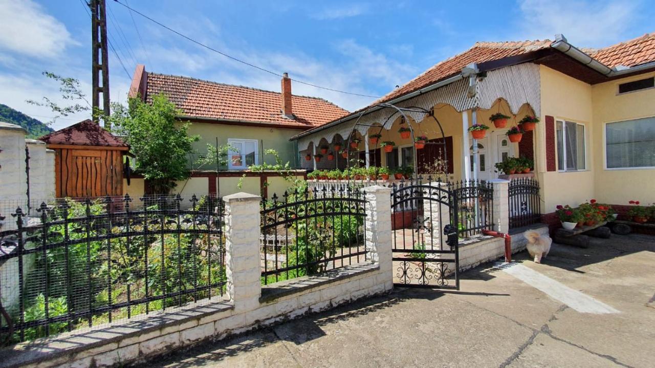 Affittacamere La Mosu-n Retezat Nucsoara  Esterno foto