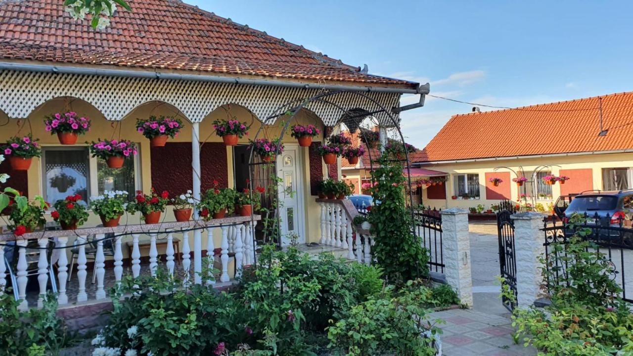 Affittacamere La Mosu-n Retezat Nucsoara  Esterno foto