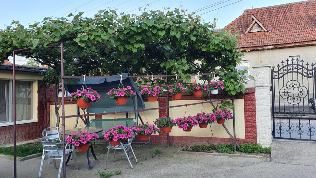 Affittacamere La Mosu-n Retezat Nucsoara  Esterno foto
