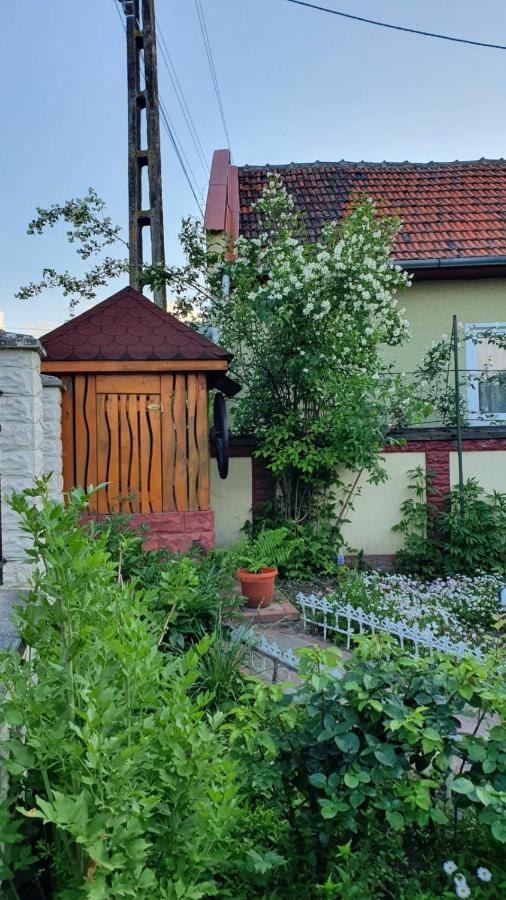 Affittacamere La Mosu-n Retezat Nucsoara  Esterno foto