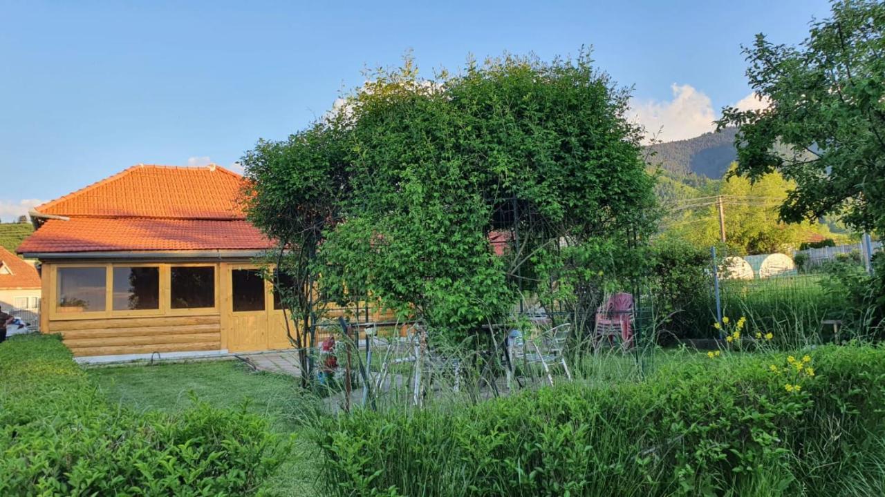 Affittacamere La Mosu-n Retezat Nucsoara  Esterno foto