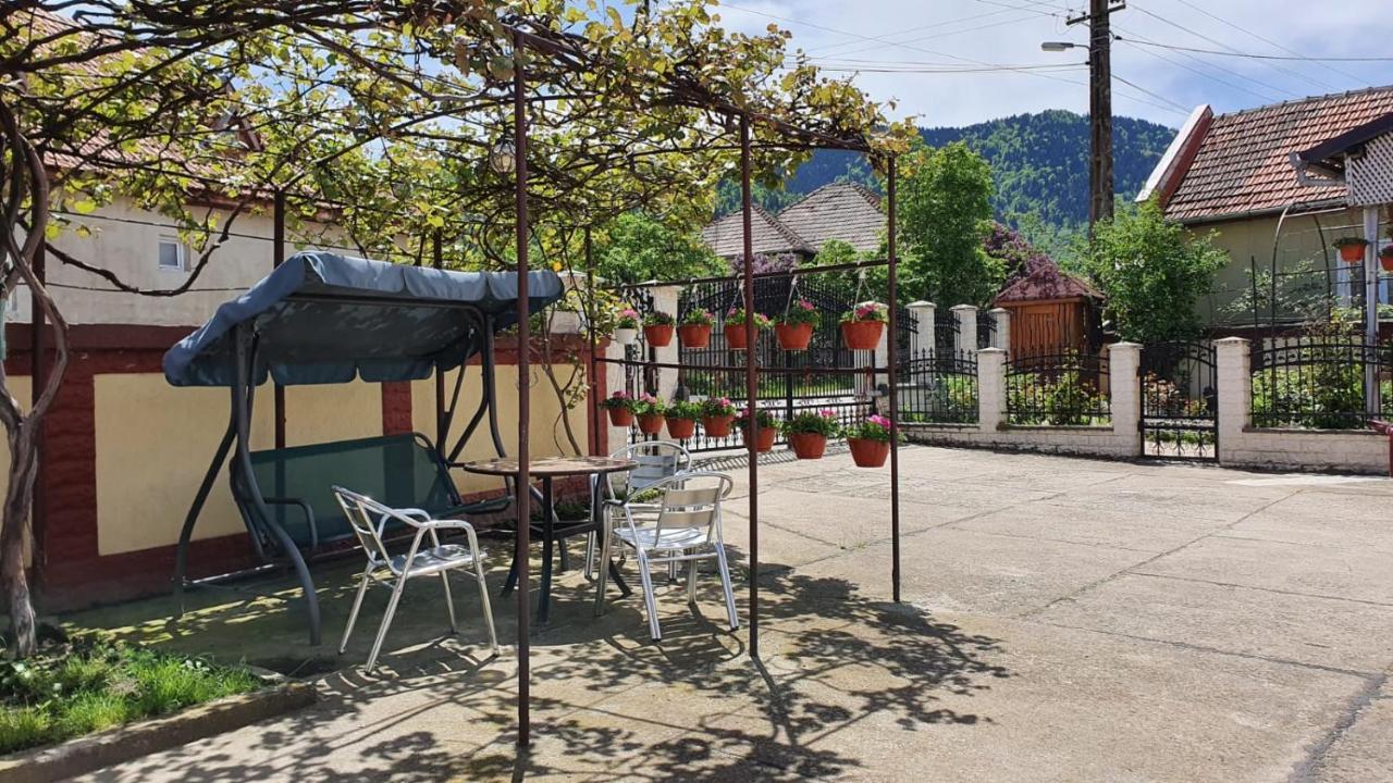 Affittacamere La Mosu-n Retezat Nucsoara  Esterno foto