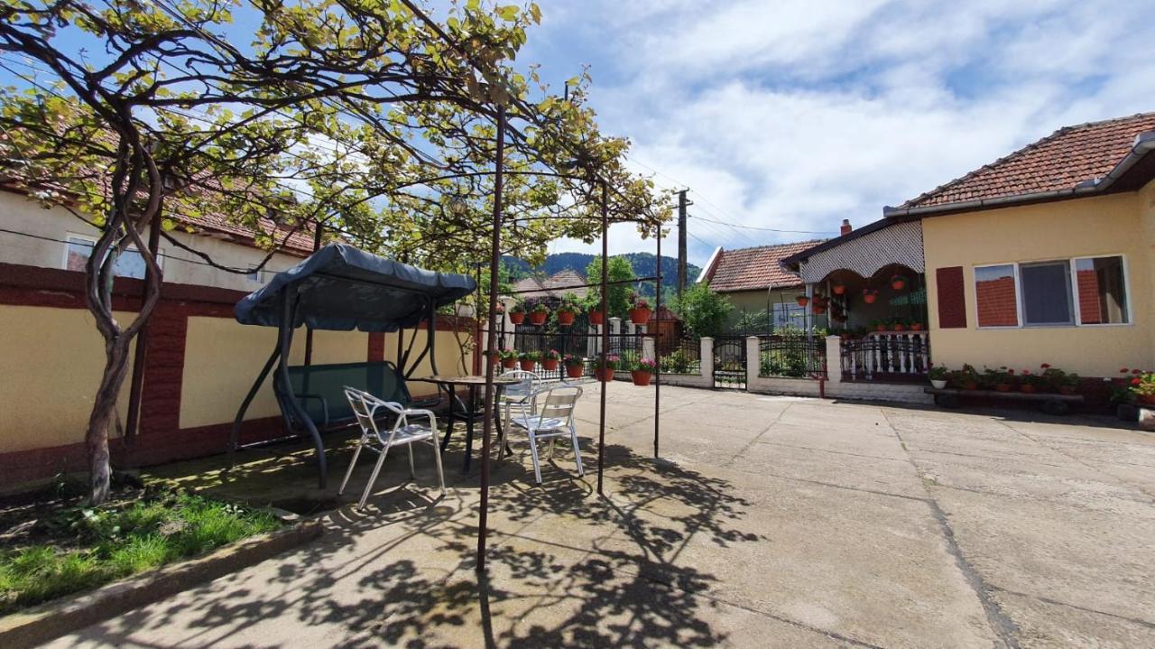 Affittacamere La Mosu-n Retezat Nucsoara  Esterno foto