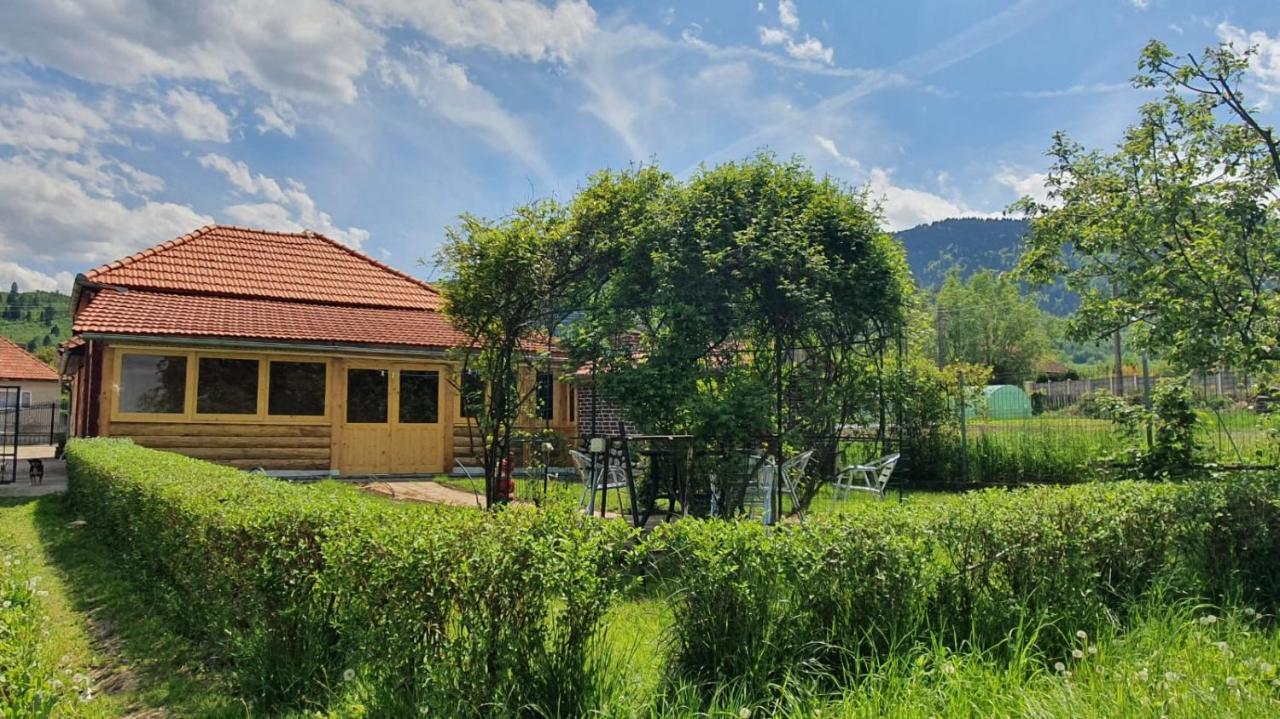 Affittacamere La Mosu-n Retezat Nucsoara  Esterno foto