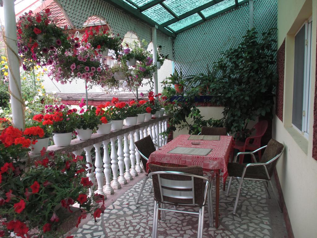 Affittacamere La Mosu-n Retezat Nucsoara  Esterno foto