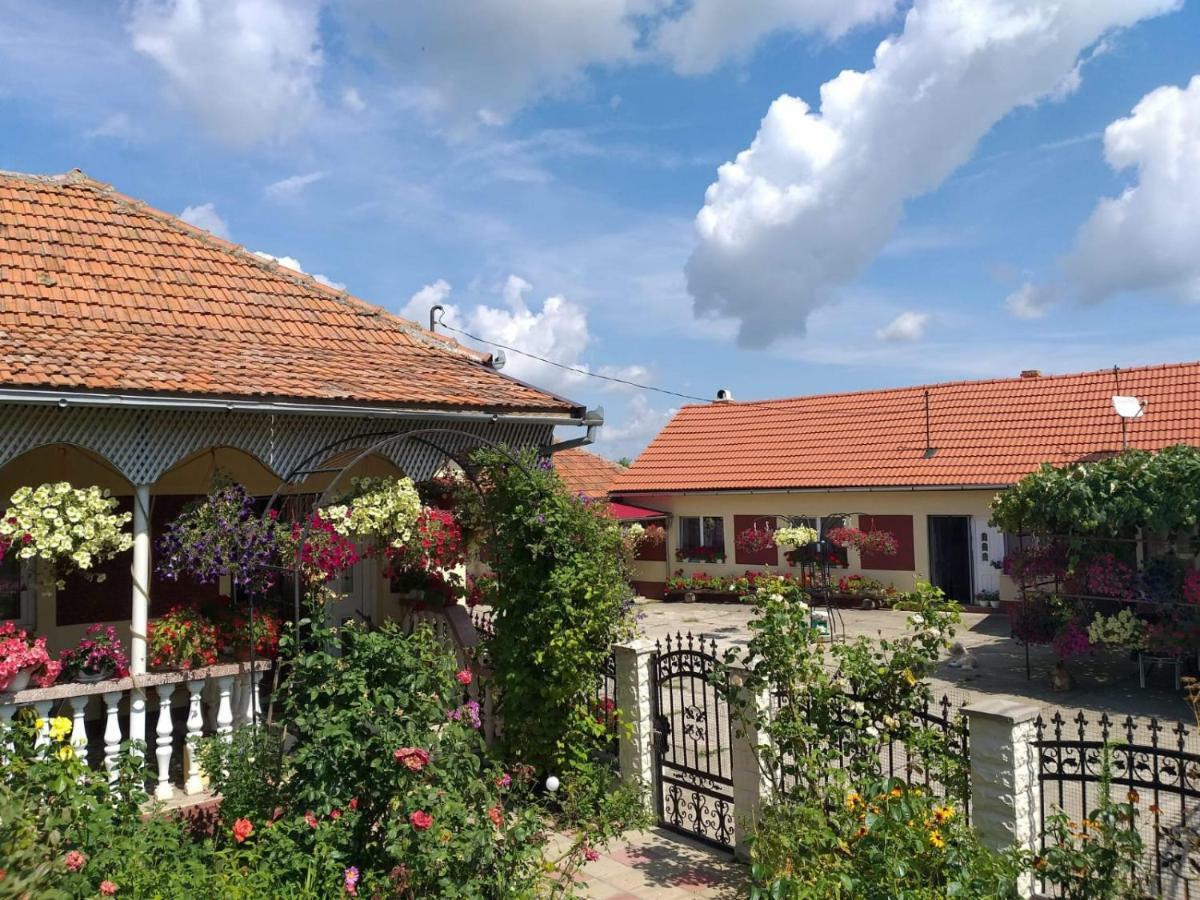 Affittacamere La Mosu-n Retezat Nucsoara  Esterno foto